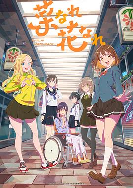 seo看哪些数值最新